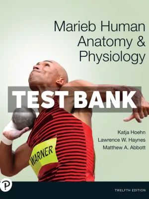 Marieb Marieb Human Anatomy and Physiology 12th Edition Hoehn Test Bank